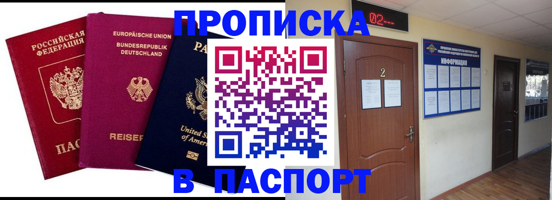 прописка в квартире в Купино